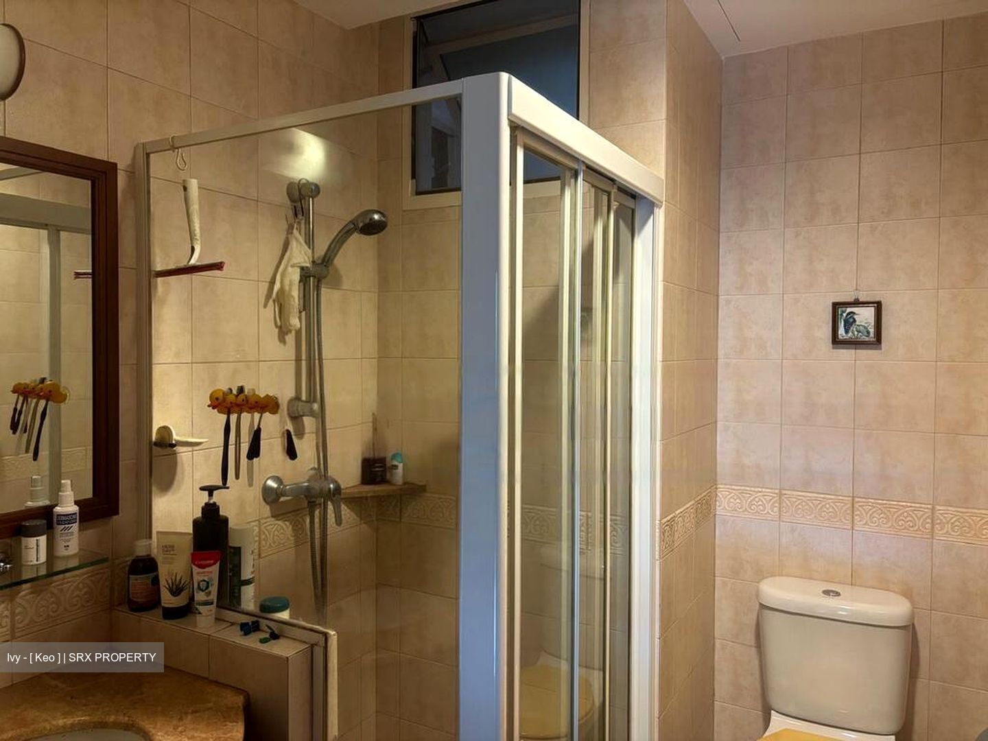 Seletar Springs Condominium (D28), Condominium #484255201